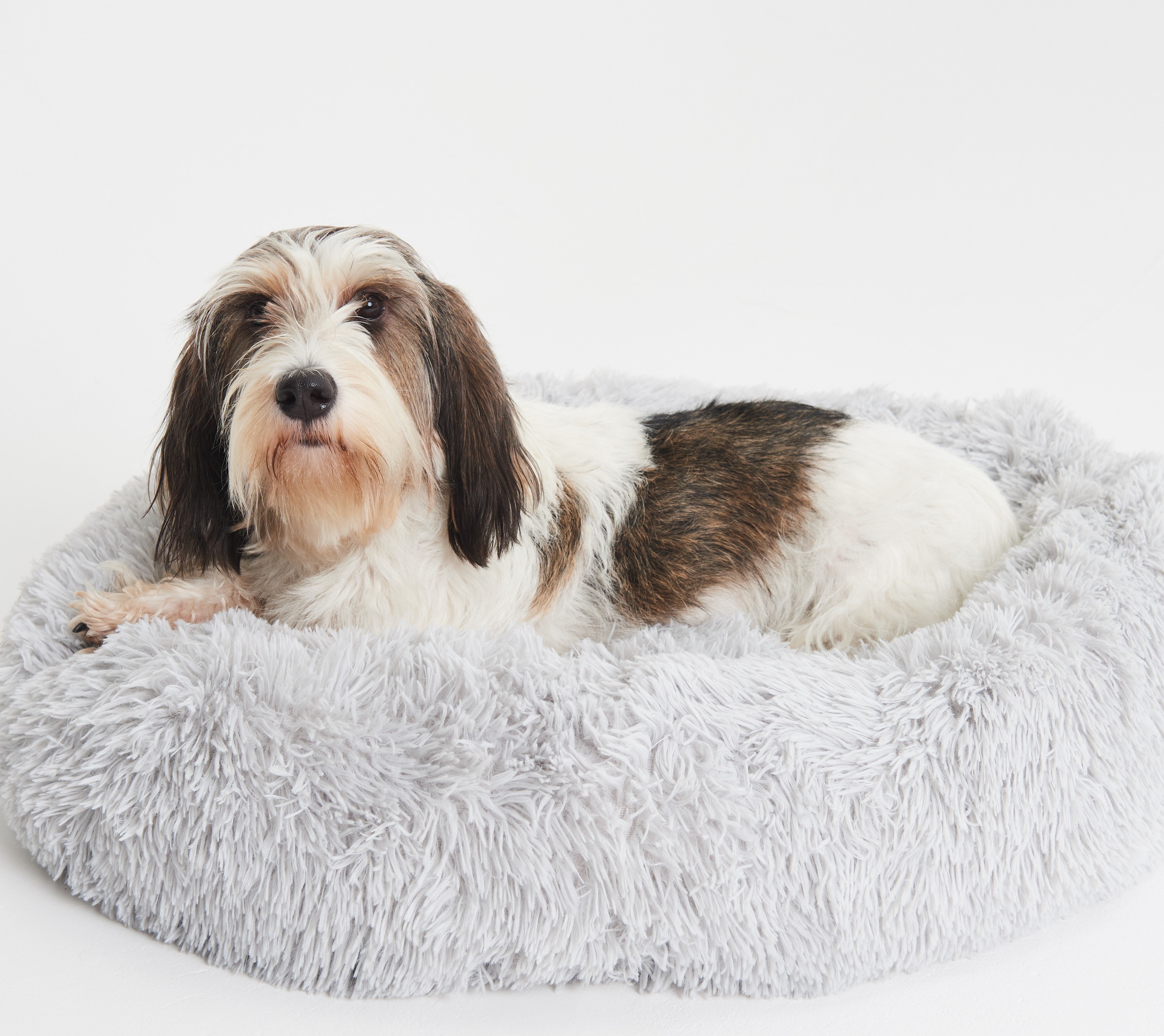 Calming cheap pet bed